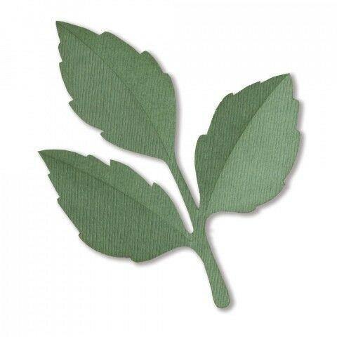 Die dies leaf leaves branches Framelits Big Shot Sizzix 662404